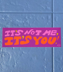 It's Not Me, It's You! -  Bumper Sticker