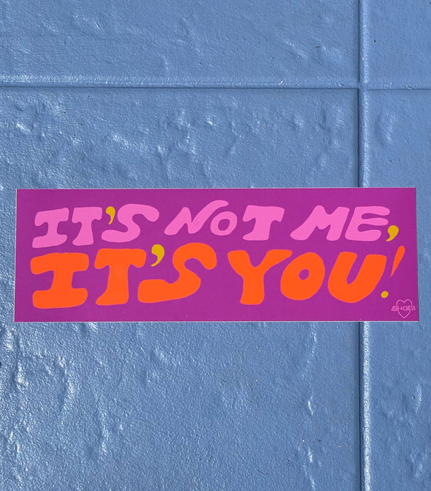 It's Not Me, It's You! -  Bumper Sticker